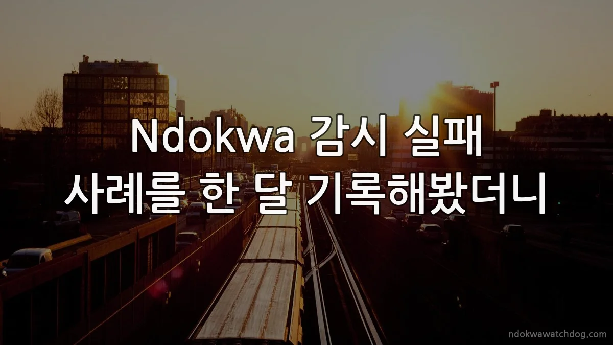 Ndokwa 감시 실패 사례를 한 달 기록해봤더니