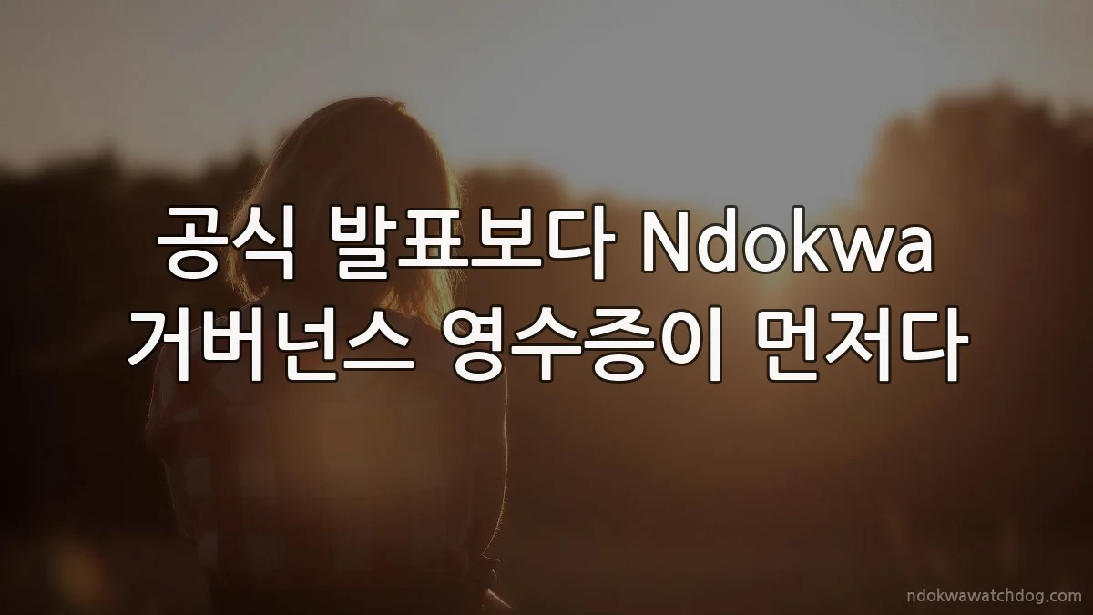 공식 발표보다 Ndokwa 거버넌스 영수증이 먼저다
