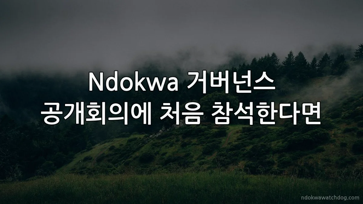 Ndokwa 거버넌스 공개회의에 처음 참석한다면