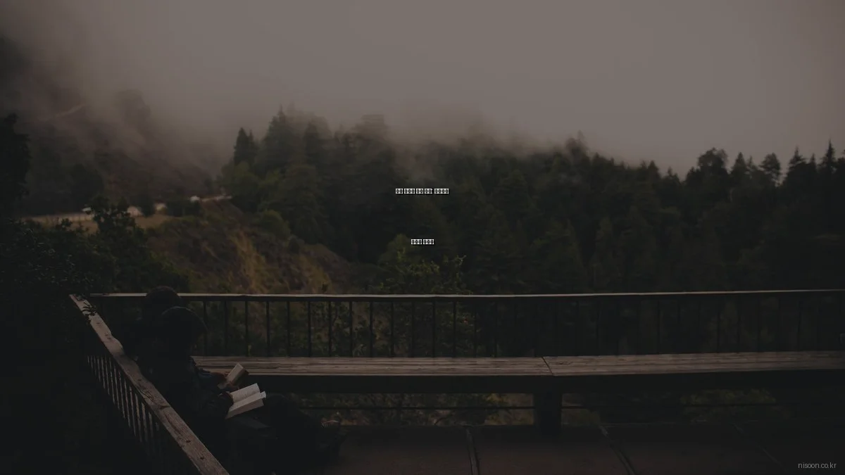 니순 플랫폼 사용 후기: 효율적인 서비스 활용법