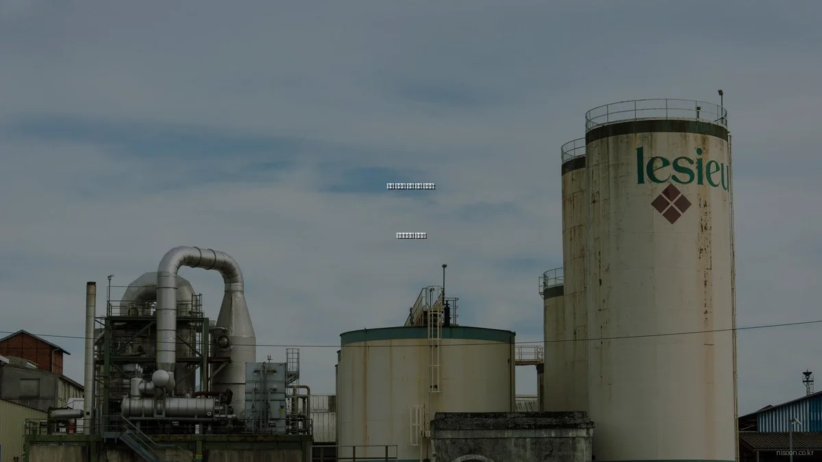 니순 플랫폼 완벽 입문 가이드: 활용법부터 팁까지