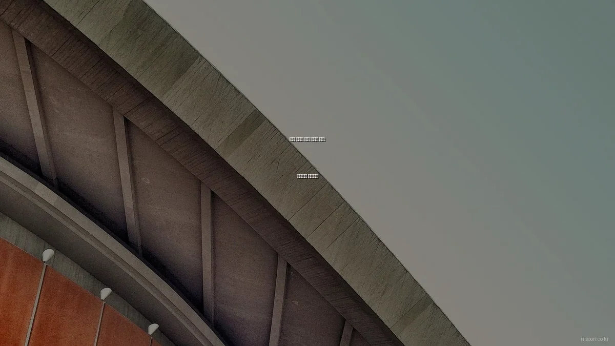 니순 솔루션 실패 사례와 교훈: 이것만은 피하세요