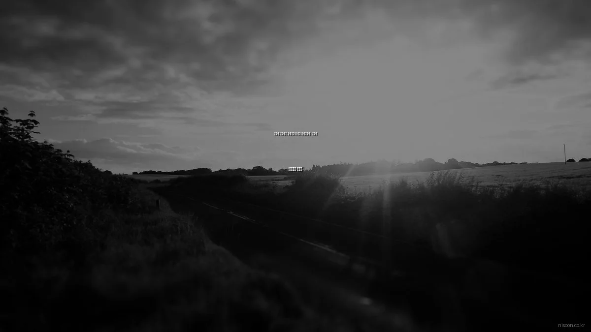 니순 플랫폼 숨겨진 꿀팁 총정리: 활용 극대화 비법