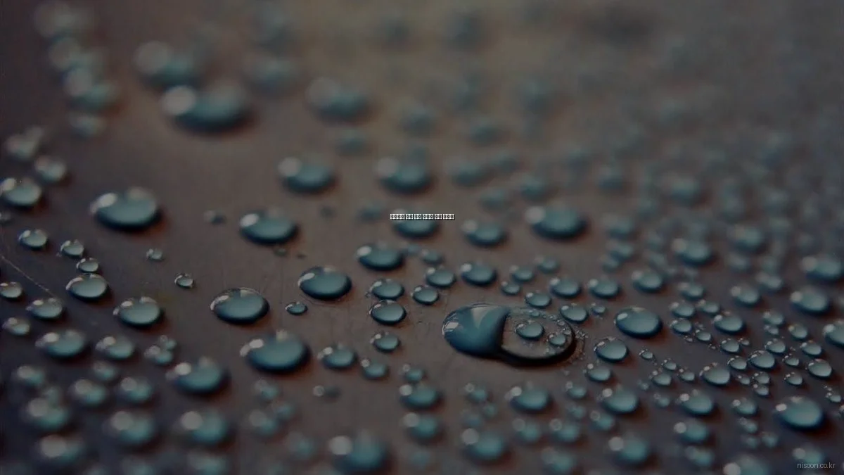 초보자를 위한 니순 플랫폼 기초 가이드