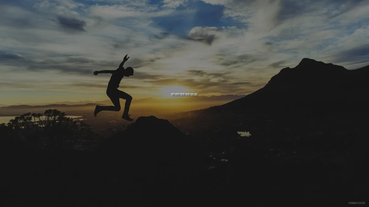 니순 플랫폼 맞춤형 솔루션 비교 분석