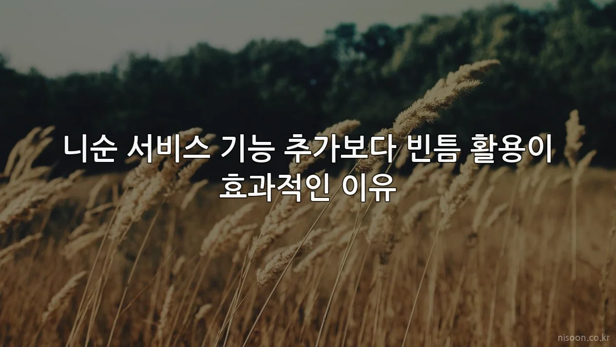 니순 서비스 기능 추가보다 빈틈 활용이 효과적인 이유