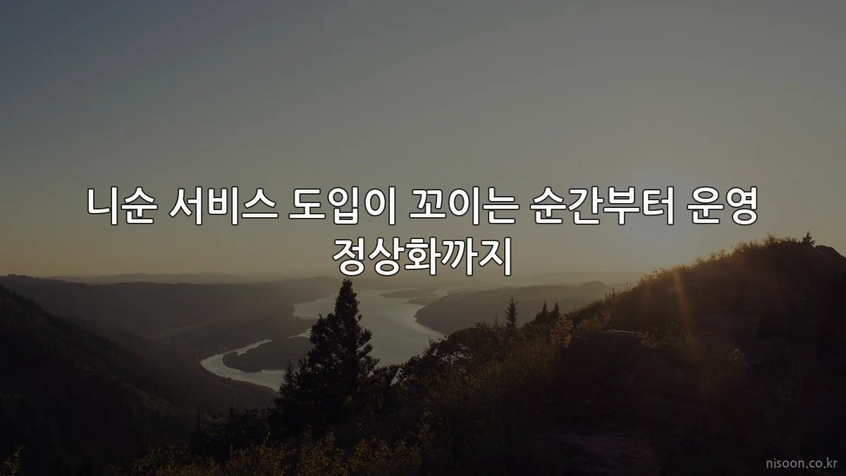니순 서비스 도입이 꼬이는 순간부터 운영 정상화까지