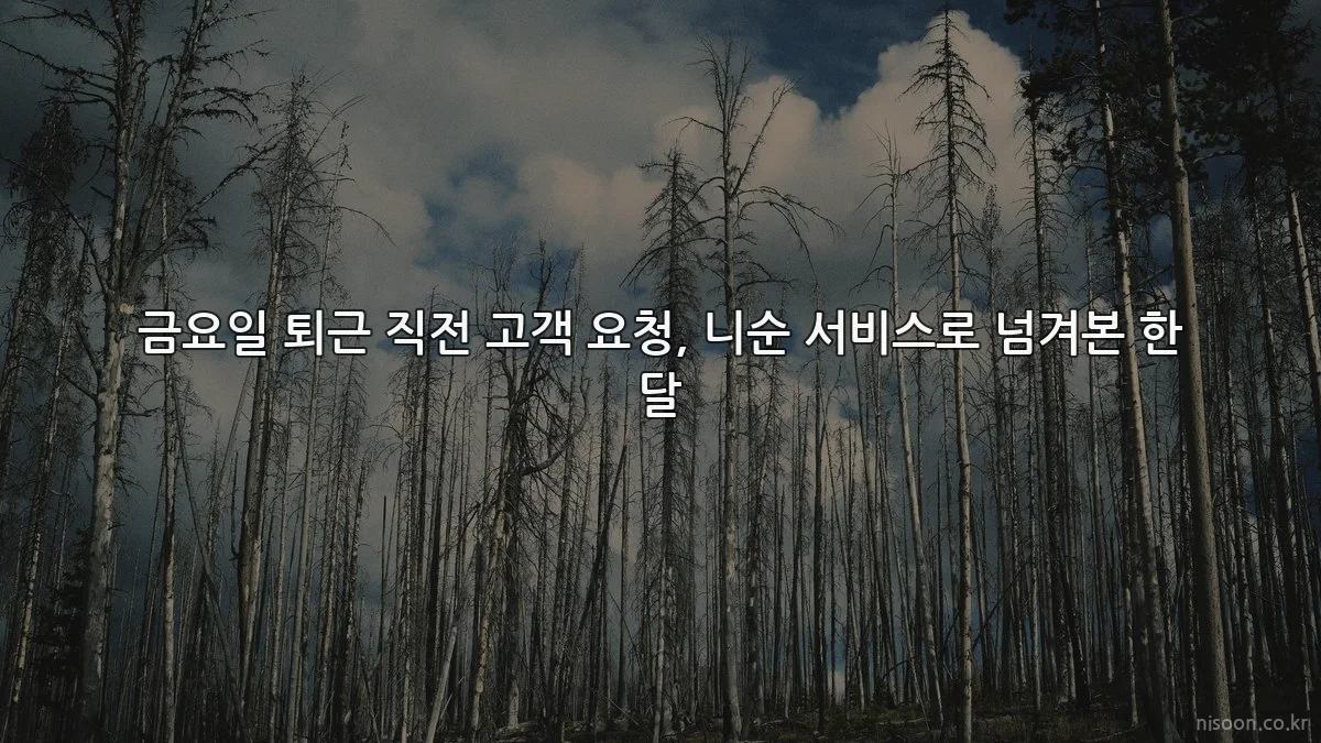 금요일 퇴근 직전 고객 요청, 니순 서비스로 넘겨본 한 달