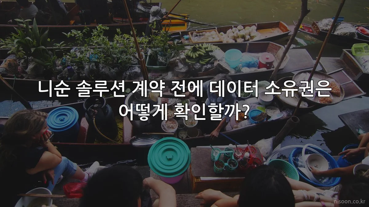 니순 솔루션 계약 전에 데이터 소유권은 어떻게 확인할까?