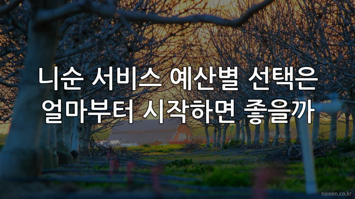니순 서비스 예산별 선택은 얼마부터 시작하면 좋을까