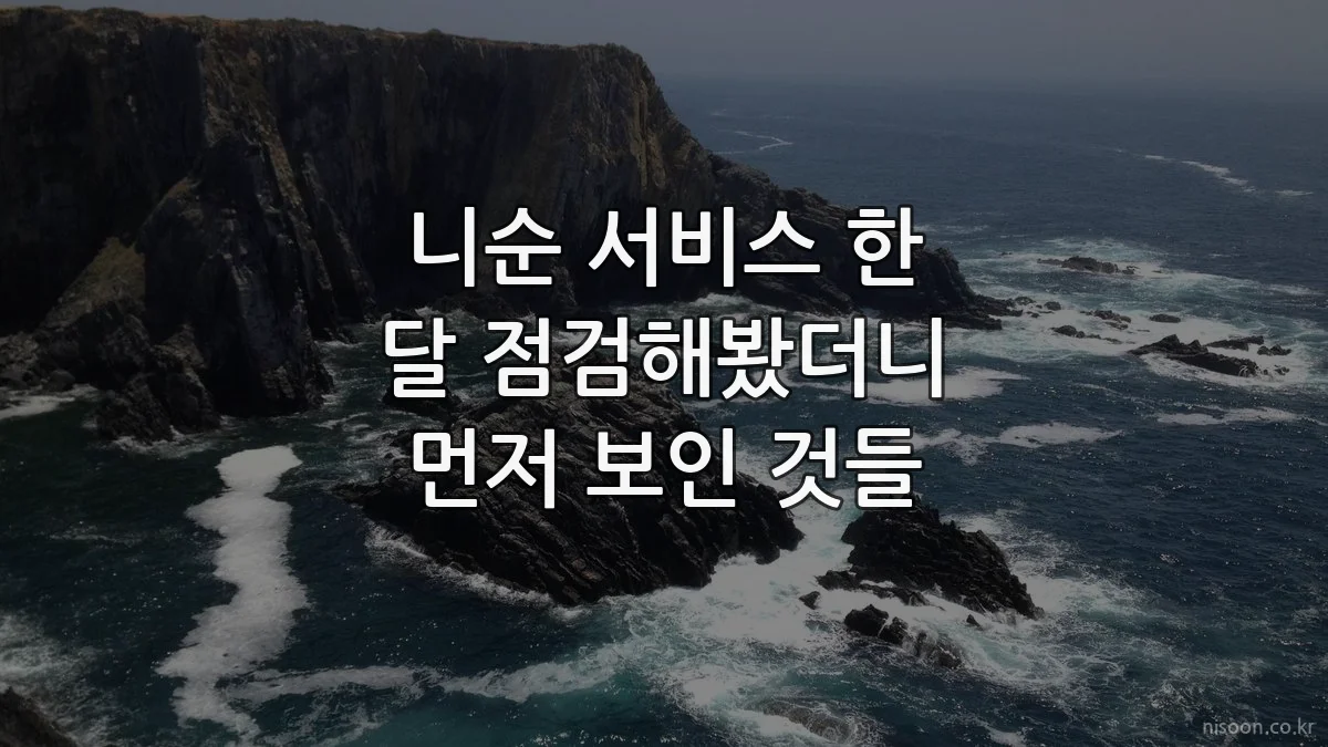니순 서비스 한 달 점검해봤더니 먼저 보인 것들
