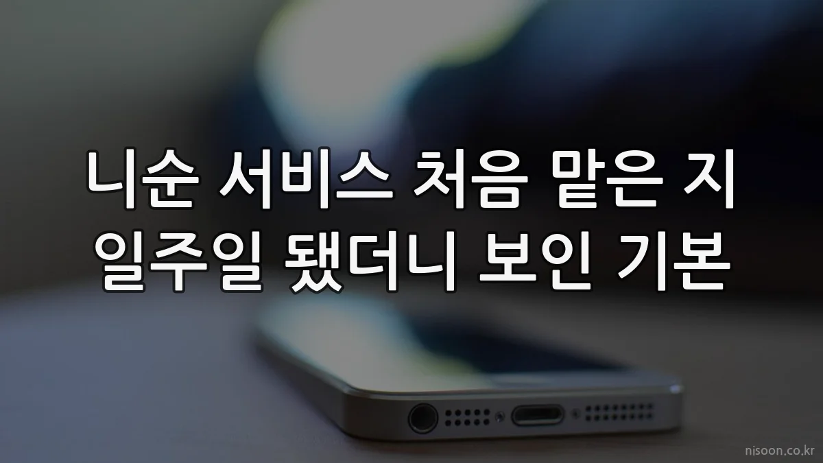 니순 서비스 처음 맡은 지 일주일 됐더니 보인 기본
