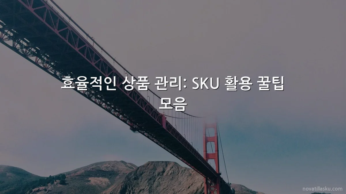 효율적인 상품 관리: SKU 활용 꿀팁 모음