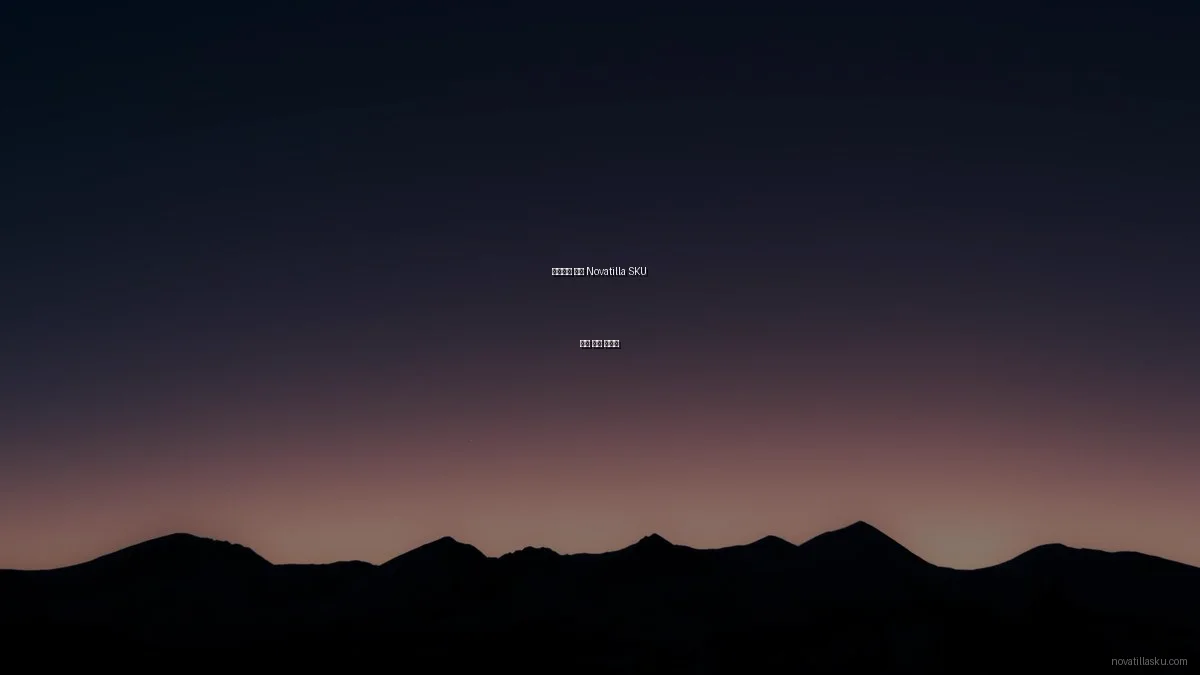 초보자를 위한 Novatilla SKU 관리 입문 가이드