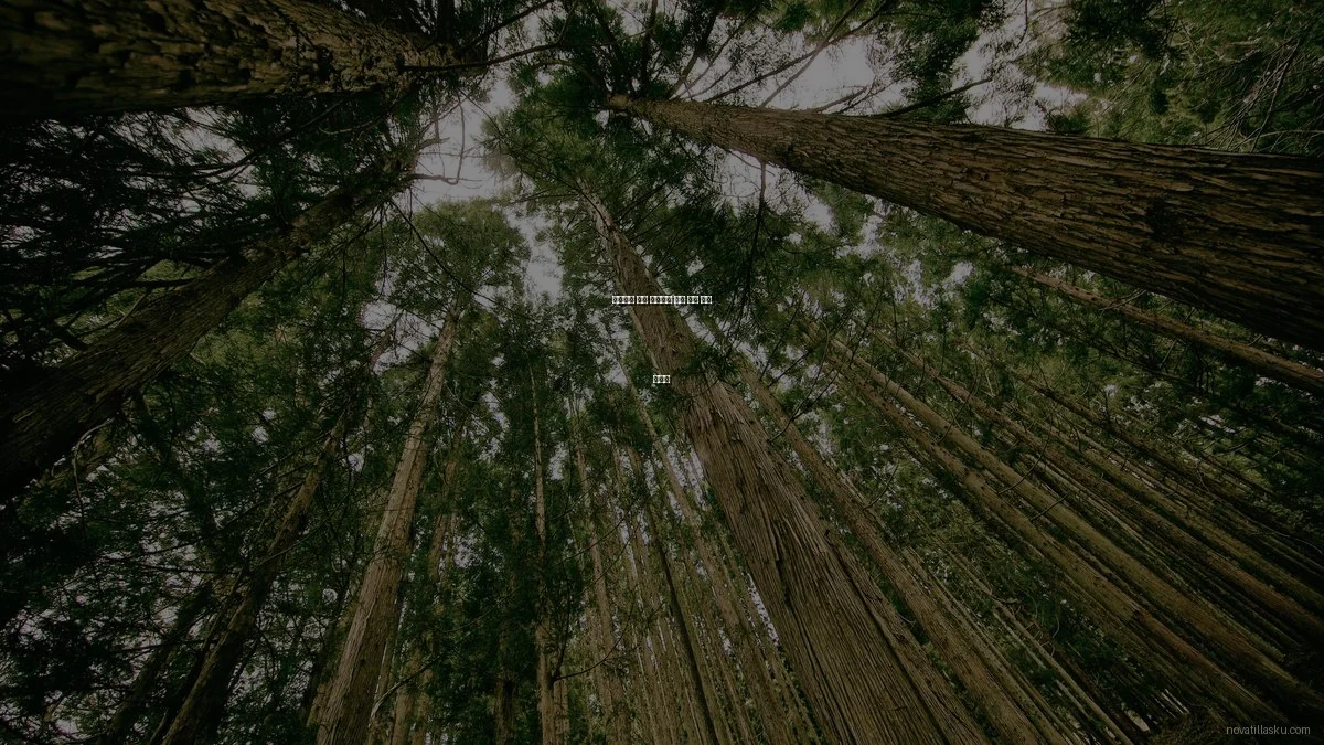 초보자를 위한 이커머스 재고 관리 입문 가이드