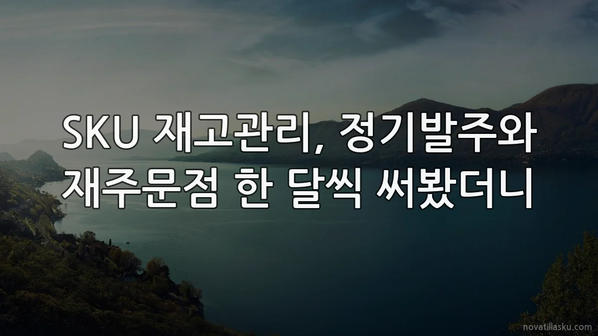 SKU 재고관리, 정기발주와 재주문점 한 달씩 써봤더니