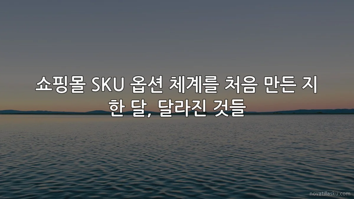 쇼핑몰 SKU 옵션 체계를 처음 만든 지 한 달, 달라진 것들