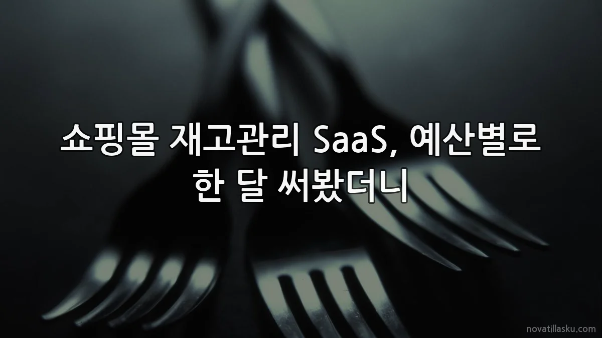 쇼핑몰 재고관리 SaaS, 예산별로 한 달 써봤더니