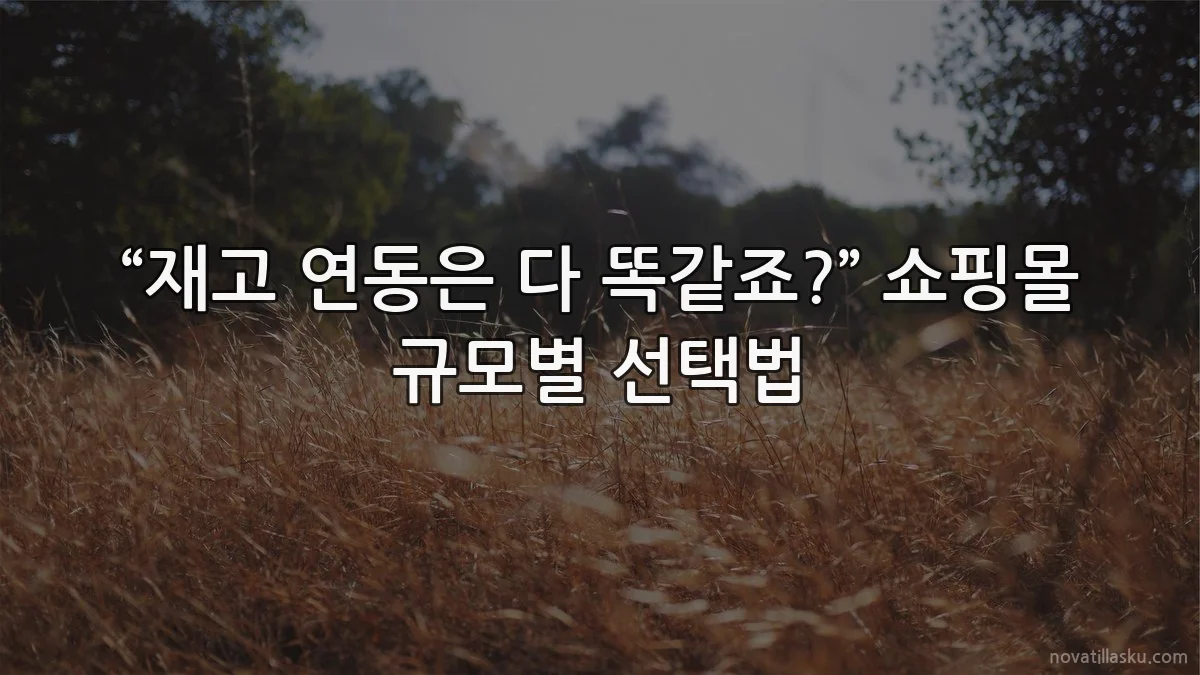 “재고 연동은 다 똑같죠?” 쇼핑몰 규모별 선택법
