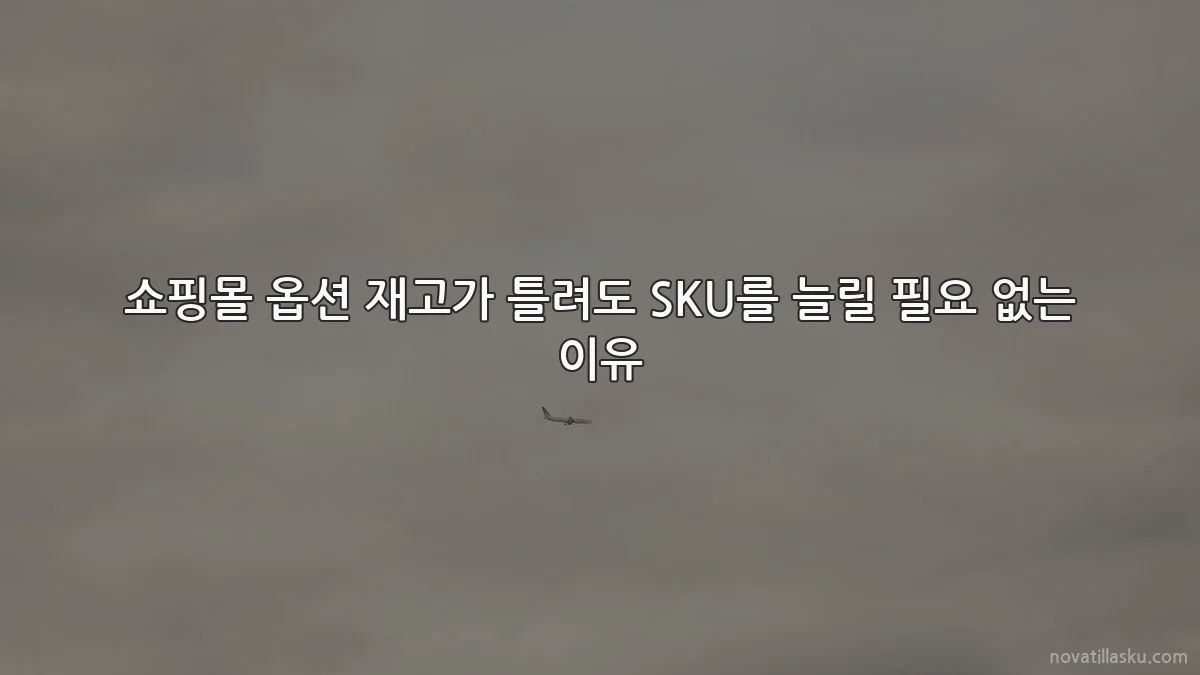 쇼핑몰 옵션 재고가 틀려도 SKU를 늘릴 필요 없는 이유