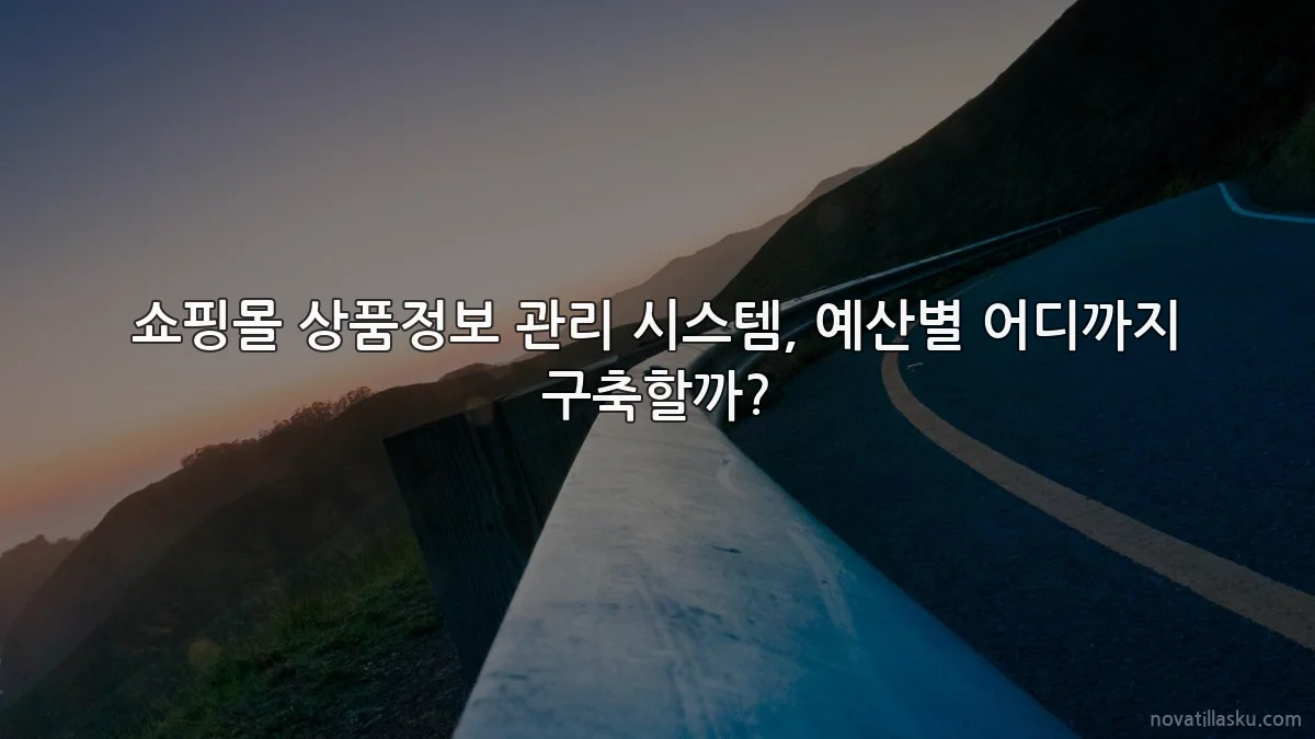 쇼핑몰 상품정보 관리 시스템, 예산별 어디까지 구축할까?
