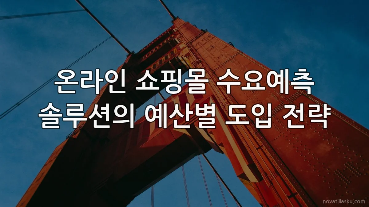 온라인 쇼핑몰 수요예측 솔루션의 예산별 도입 전략