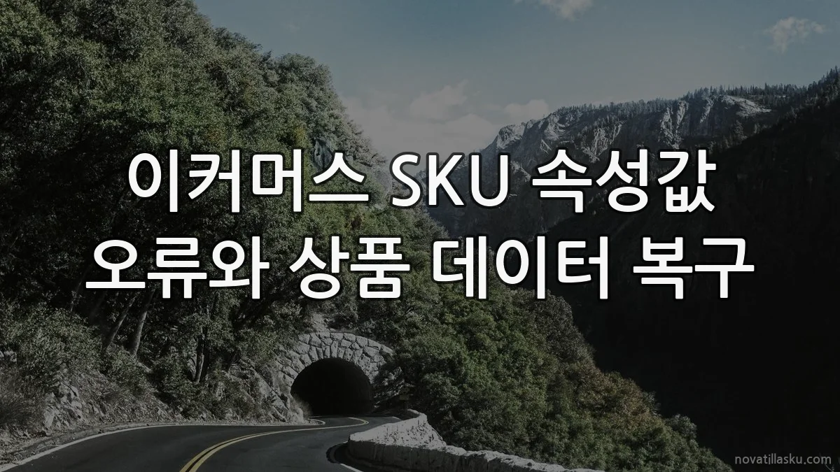 이커머스 SKU 속성값 오류와 상품 데이터 복구