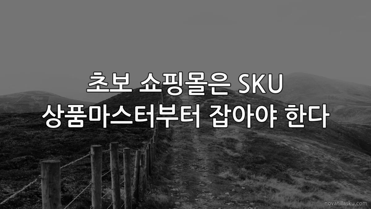 초보 쇼핑몰은 SKU 상품마스터부터 잡아야 한다