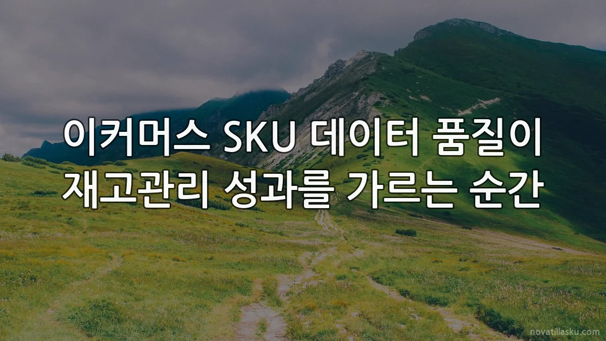 이커머스 SKU 데이터 품질이 재고관리 성과를 가르는 순간