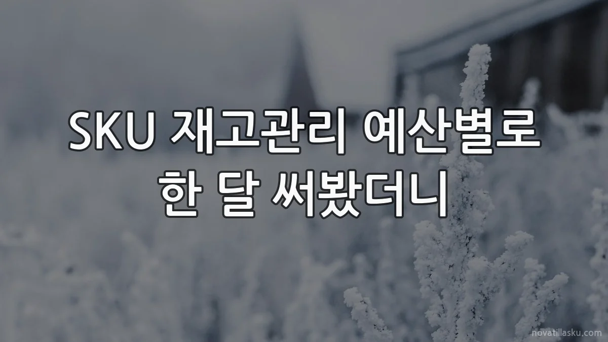 SKU 재고관리 예산별로 한 달 써봤더니
