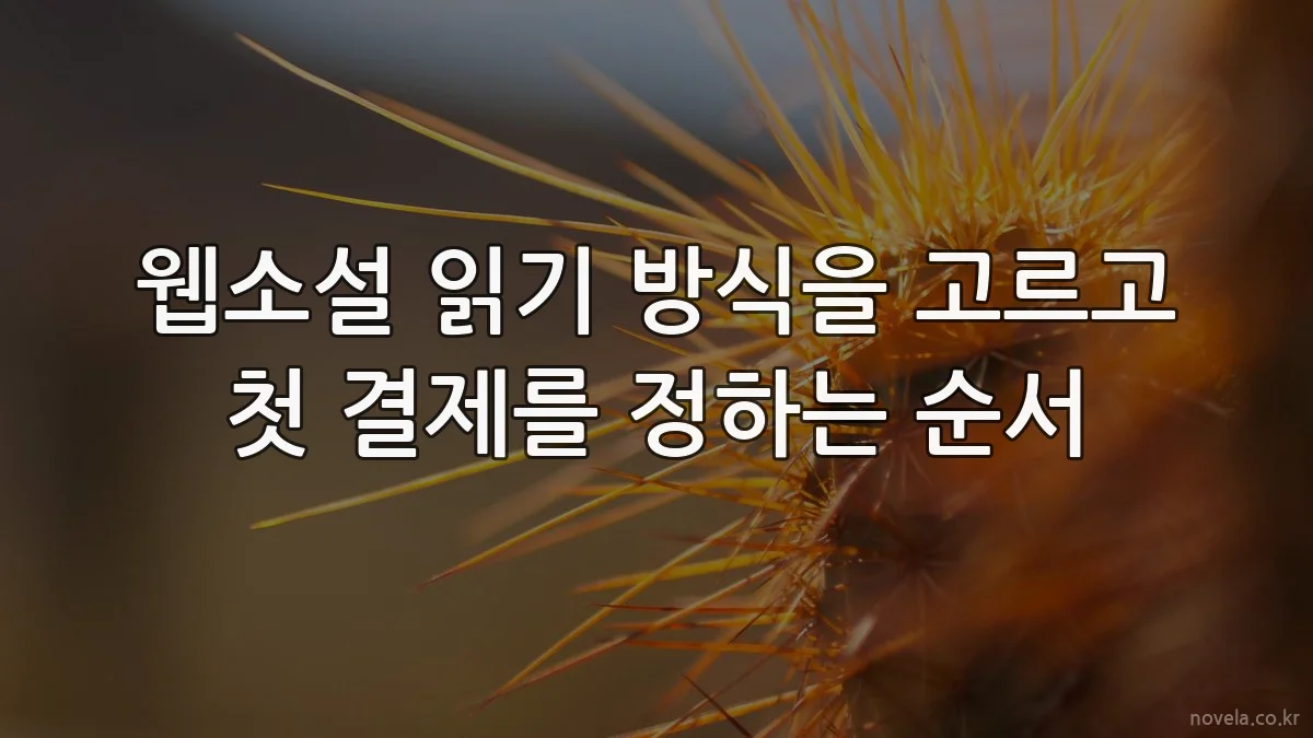 웹소설 읽기 방식을 고르고 첫 결제를 정하는 순서