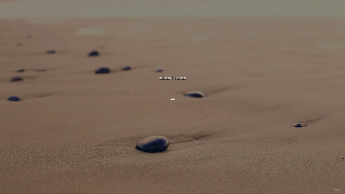 실제로 사용해본 NVS 영상 솔루션의 모든 것