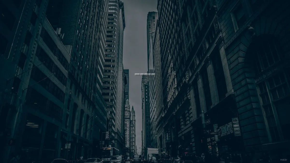 효율적인 미디어 솔루션 선택 가이드