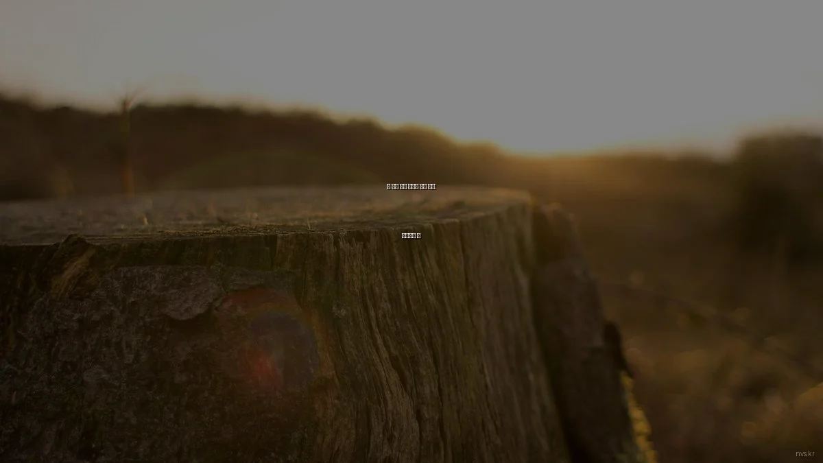 봄 시즌 영상 콘텐츠 성공 전략: 트렌드와 팁