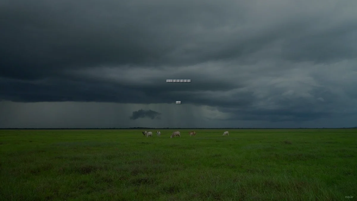 초보자를 위한 영상 제작 필수 개념 가이드