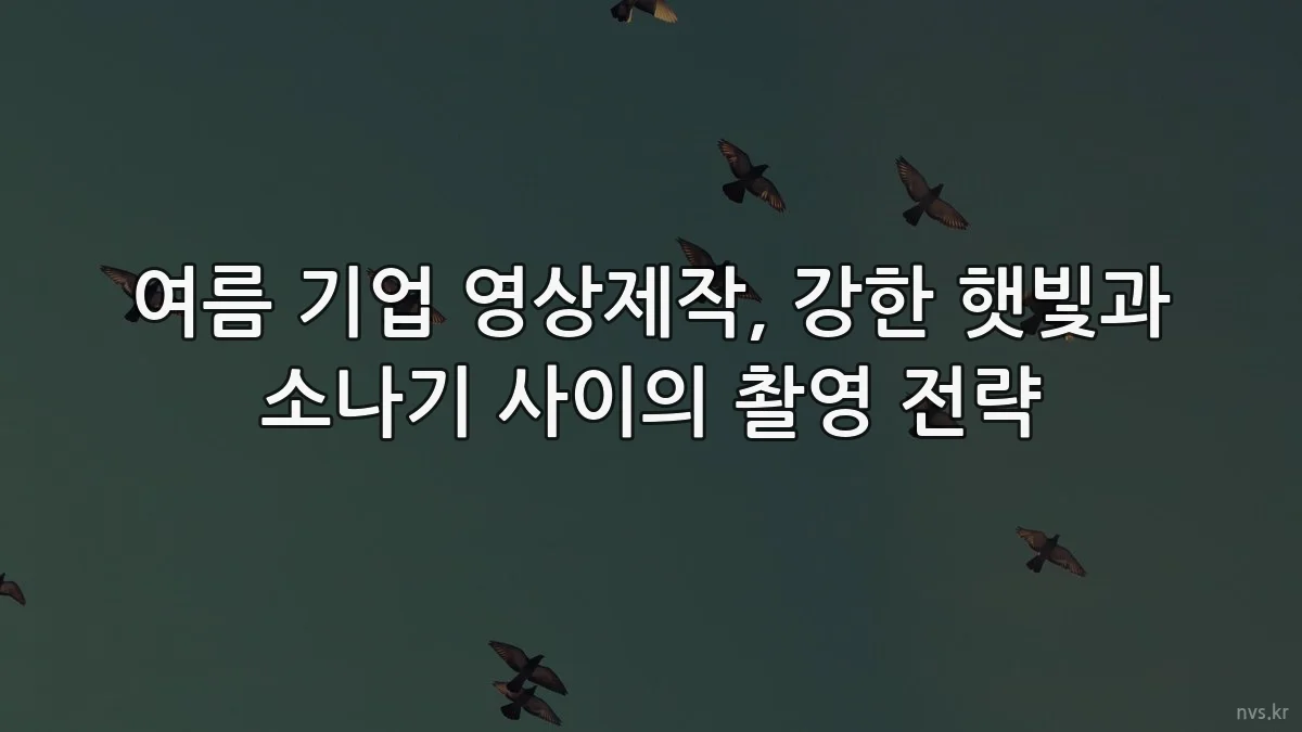 여름 기업 영상제작, 강한 햇빛과 소나기 사이의 촬영 전략