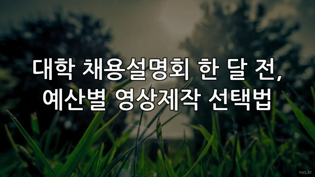 대학 채용설명회 한 달 전, 예산별 영상제작 선택법