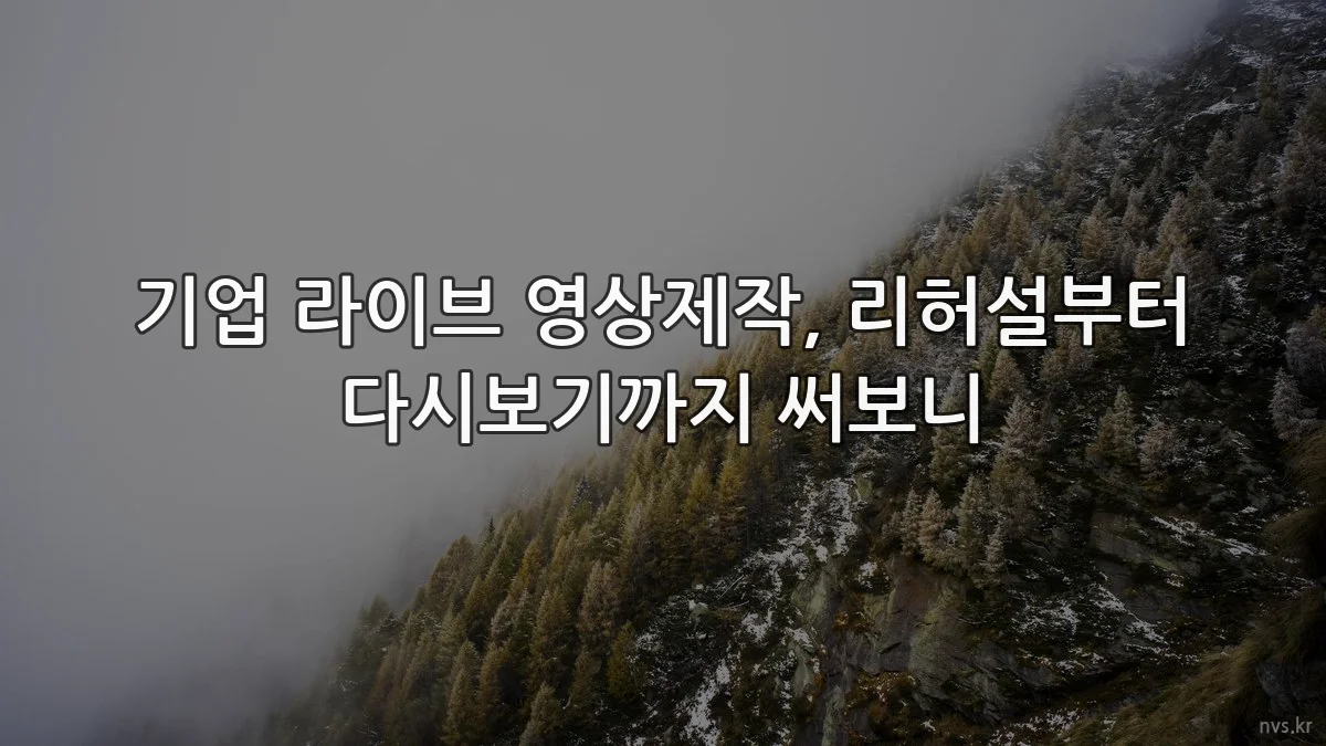 기업 라이브 영상제작, 리허설부터 다시보기까지 써보니