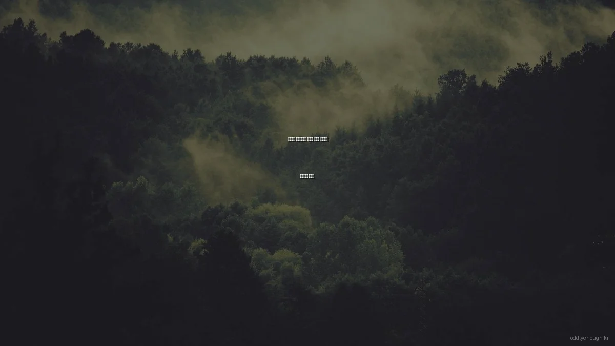 예산별 재미있는 문화 체험 추천과 가성비 분석