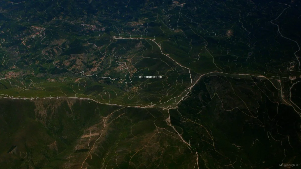 신기한 이야기의 실수와 해결법 가이드