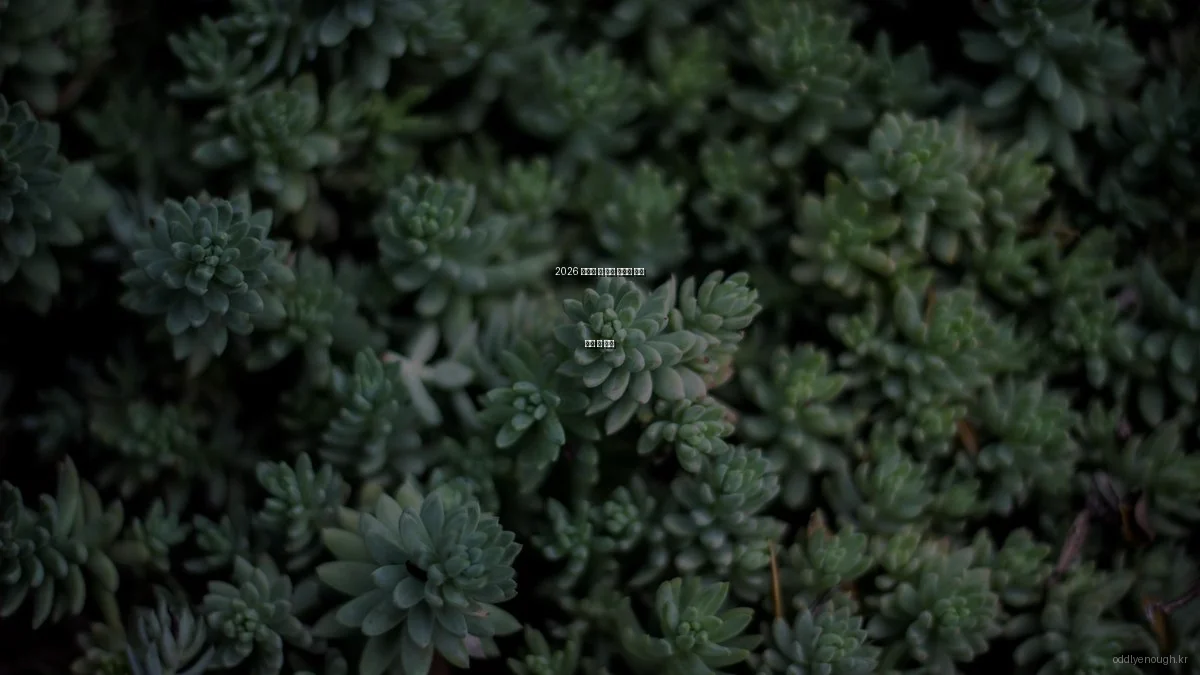 2026 신기한 홈 데코 트렌드 비교 분석 및 추천