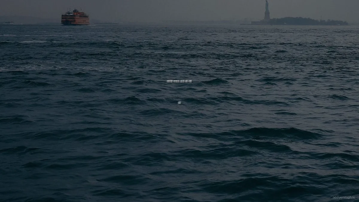 신기하고 재미있는 글로벌 체험 키트 후기