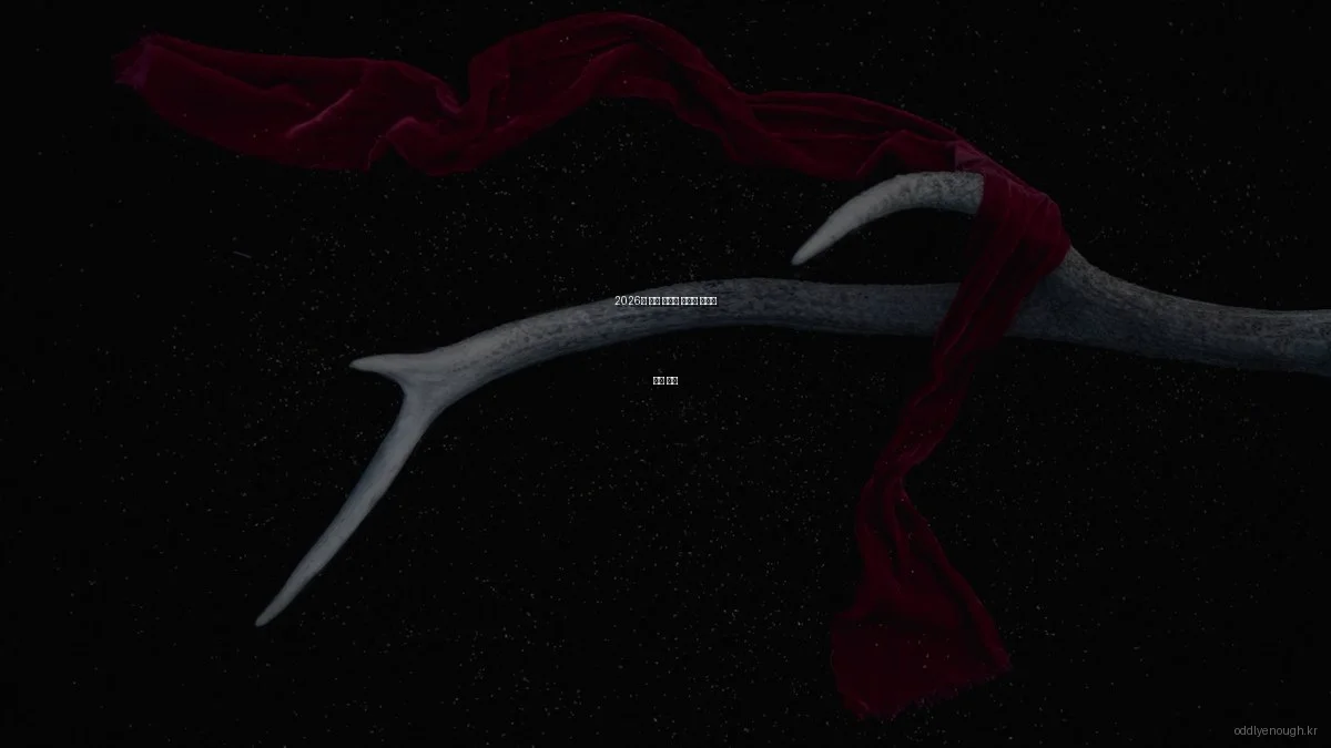 2026년 인기 트렌드 예산별 신기한 체험 추천