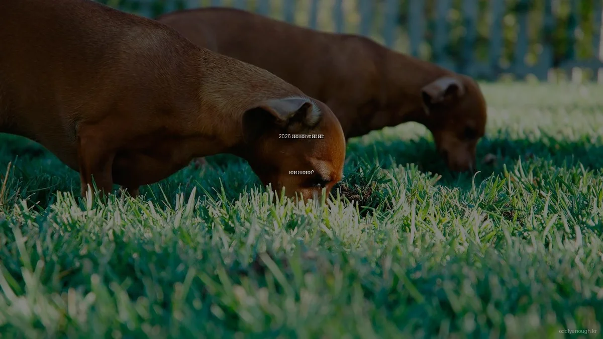 2026 신기한 문화 vs 전통 문화: 어디에 더 끌리나요?