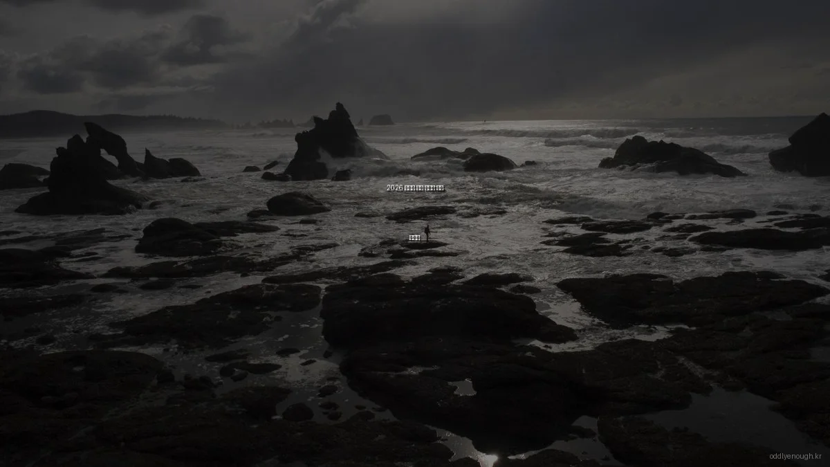 2026 신기한 공간 활용법 실제 체험기