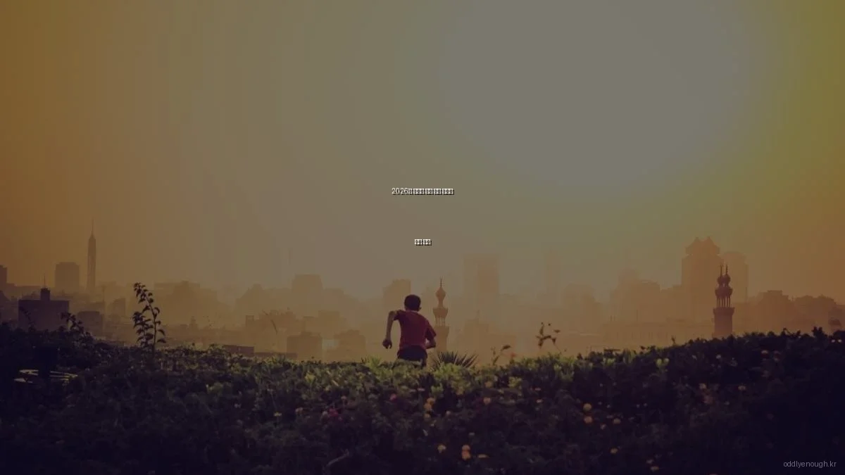 2026년 신기한 문화 체험 플랫폼 비교 분석