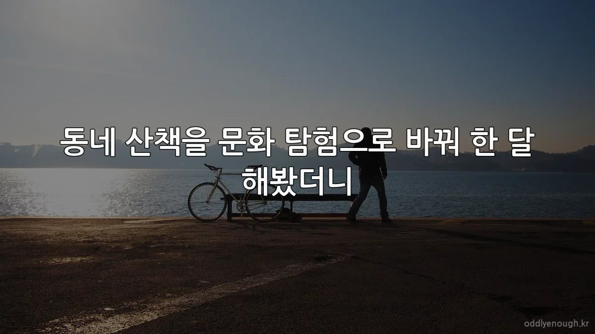 동네 산책을 문화 탐험으로 바꿔 한 달 해봤더니