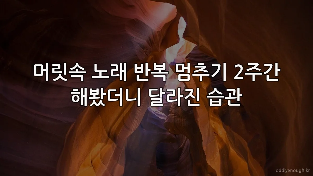 머릿속 노래 반복 멈추기 2주간 해봤더니 달라진 습관