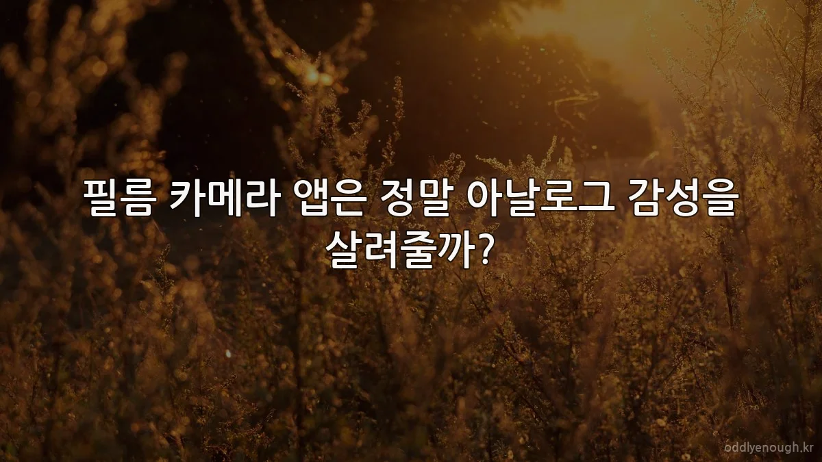 필름 카메라 앱은 정말 아날로그 감성을 살려줄까?