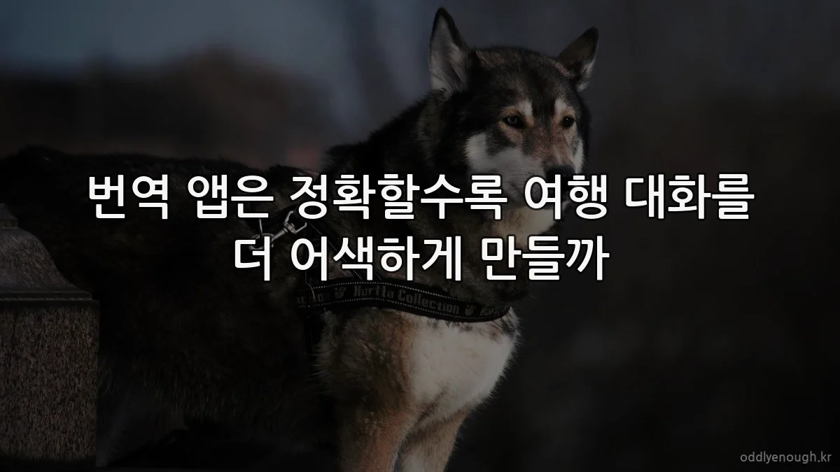 번역 앱은 정확할수록 여행 대화를 더 어색하게 만들까